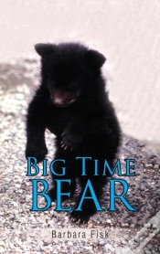 Capa do artigo Big Time Bear