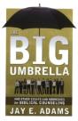 Big Umbrella - Preview