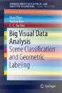 Big Visual Data Analysis - Preview