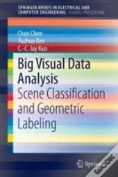 Big Visual Data Analysis