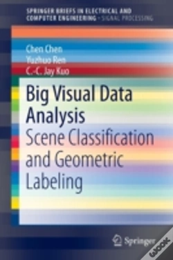Capa do artigo Big Visual Data Analysis