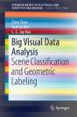 Big Visual Data Analysis - Preview