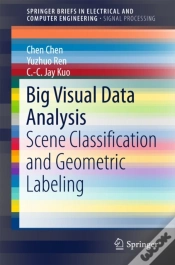 Capa do artigo Big Visual Data Analysis