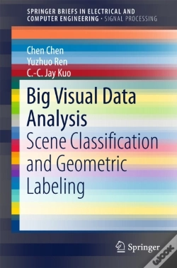 Capa do artigo Big Visual Data Analysis