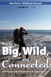 Capa do artigo Big, Wild, And Connected
