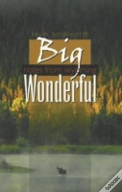 Capa do artigo Big Wonderful