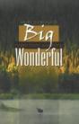 Big Wonderful - Preview