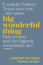 Big Wonderful Thing - Preview