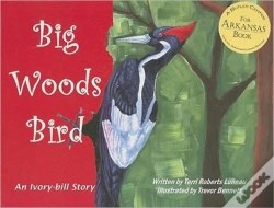 Capa do artigo Big Woods Bird