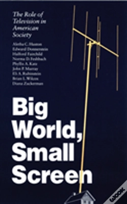 Capa do artigo Big World, Small Screen