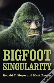 Capa do artigo Bigfoot Singularity