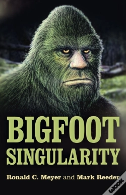 Capa do artigo Bigfoot Singularity