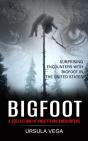 Bigfoot - Preview