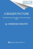 Bigger Picture