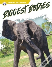 Capa do artigo Biggest Bodies