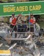 Bigheaded Carp - Preview