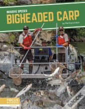 Bigheaded Carp