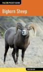 Bighorn Sheep - Preview