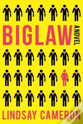 Biglaw A Novel