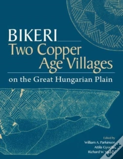Capa do artigo Bikeri