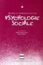 Bilans Et Perspectives En Psychologie Sociale T.2 - Preview