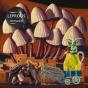 Bilateral - CD - Preview