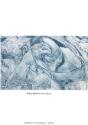 Bile Bleue - Preview