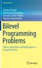 Bilevel Programming Problems - Preview