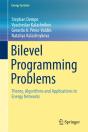 Bilevel Programming Problems - Preview
