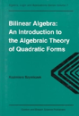 Bilinear Algebra - Preview