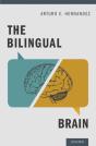 Bilingual Brain - Preview