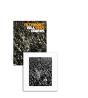 Bill Owens: Altamont 1969 - Preview
