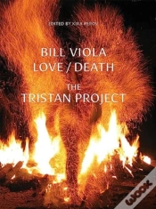 Capa do artigo Bill Viola
