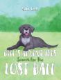 Billâ€™S Adventures: Search For The Lost Ball - Preview