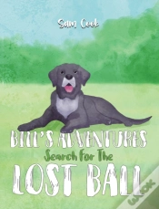 Capa do artigo Billâ€™S Adventures: Search For The Lost Ball