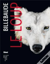 Capa do artigo Billebaude N 04
