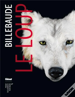 Capa do artigo Billebaude N 04