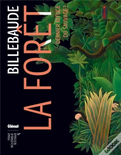 Capa do artigo Billebaude N 05