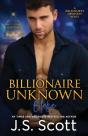 Billionaire Unknown - Preview