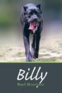 Billy - Preview
