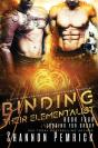 Binding Their Elementalist - Preview