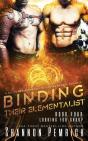 Binding Their Elementalist - Preview