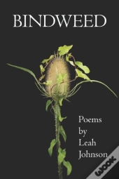 Bindweed