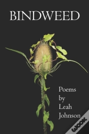 Capa do artigo Bindweed