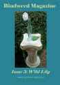Bindweed Magazine Issue 5 - Preview