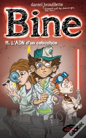 Capa do artigo Bine V 11 L