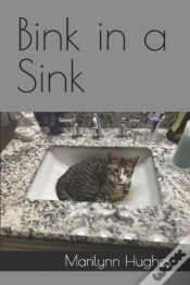 Capa do artigo Bink In A Sink