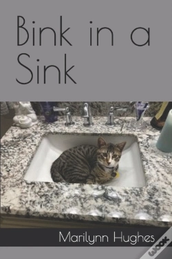 Capa do artigo Bink In A Sink