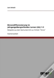 Capa do artigo Binnendifferenzierung Im Jahrgangsabergreifenden Lernen (Jal) 1-3
