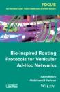 Bio-Inspired Routing Protocols For Vehicular Ad-Hoc Networks - Preview